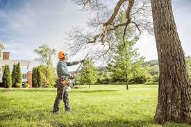 Lawn Drainage Solutions in Wild Peach Village, TX