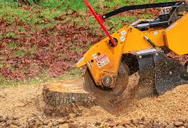 Organic Lawn Care Solutions in Wild Peach Village, TX