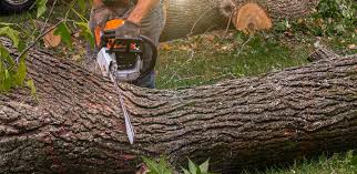 Best Lawn Drainage Solutions  in Wild Peach Village, TX